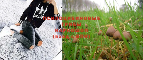 не бодяженный Покров