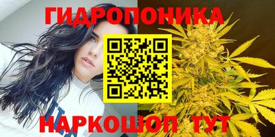 гидропоника Старая Купавна