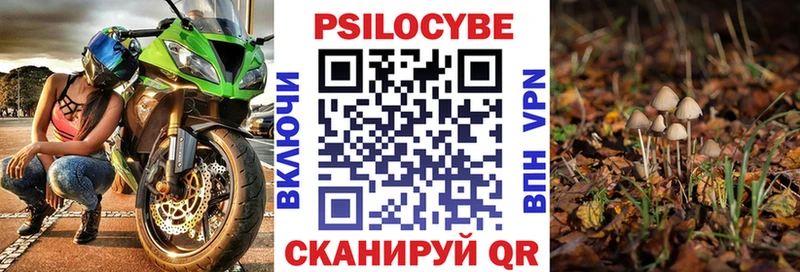 Галлюциногенные грибы прущие грибы  Отрадный 