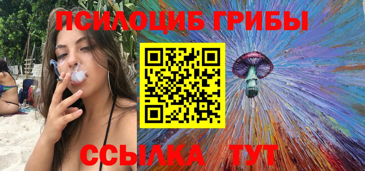Отрадный  Галлюциногенные грибы Psilocybe  Вход с VPN 