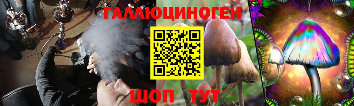 Псилоцибиновые грибы мицелий Отрадный